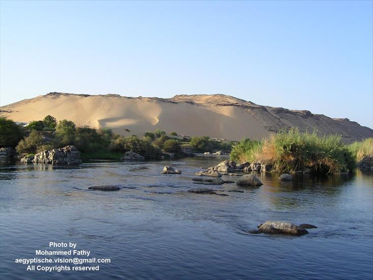 Przyroda - Przyroda w Aswan 468.jpg