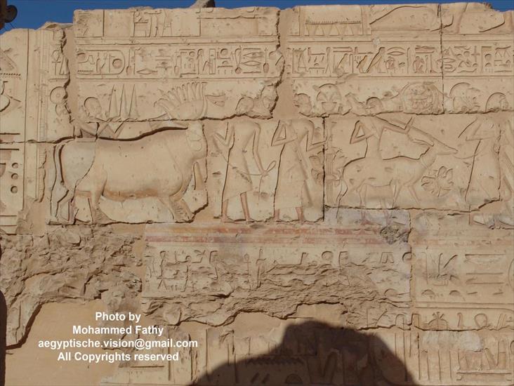 Świątynia w Ramses II - Świątynia w Ramses II 50.jpg
