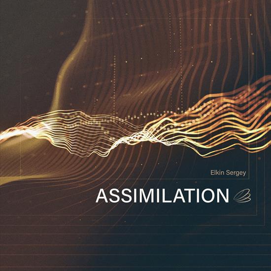 Elkin Sergey - Assimilation 2021 - Folder.jpg